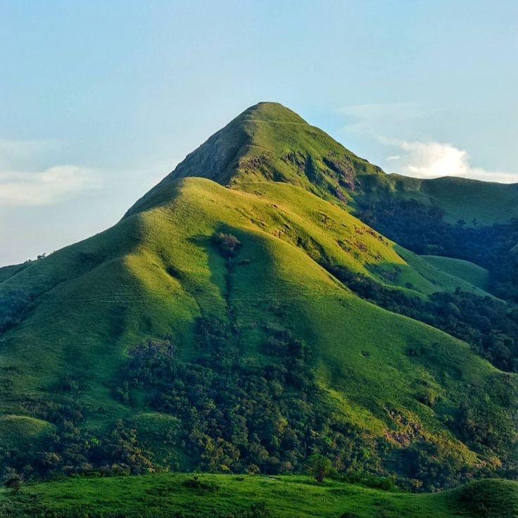 Jenukal Gudda